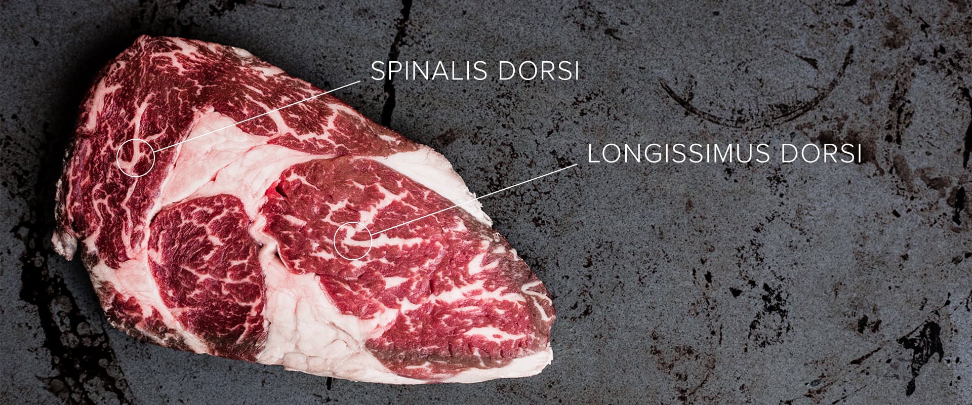 Spinalis Dorsi oder Ribeye Cap: Das beste Steak der Welt?