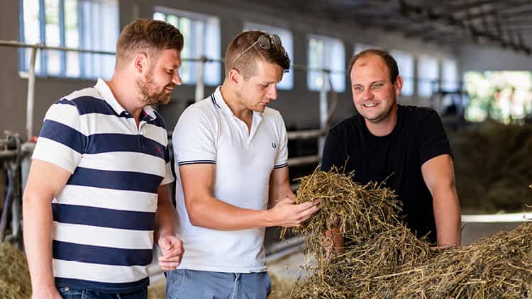 Deutsches Wagyu bei Marblelution